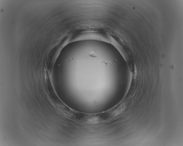 X0000076270456200610051315