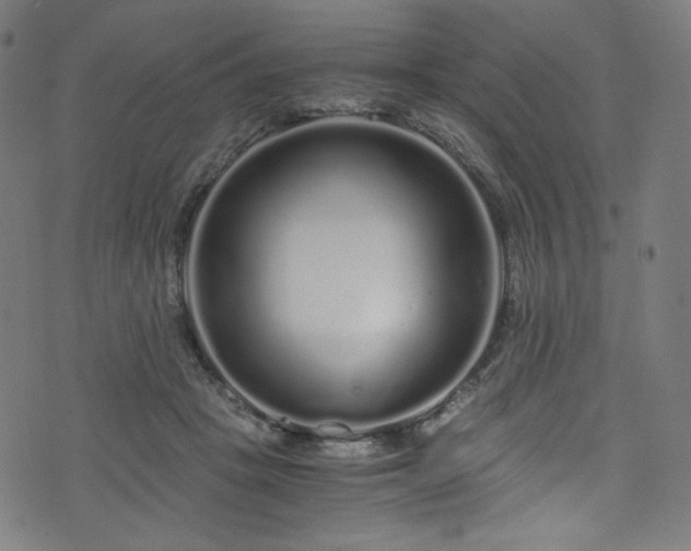 X0000076270457200610051315