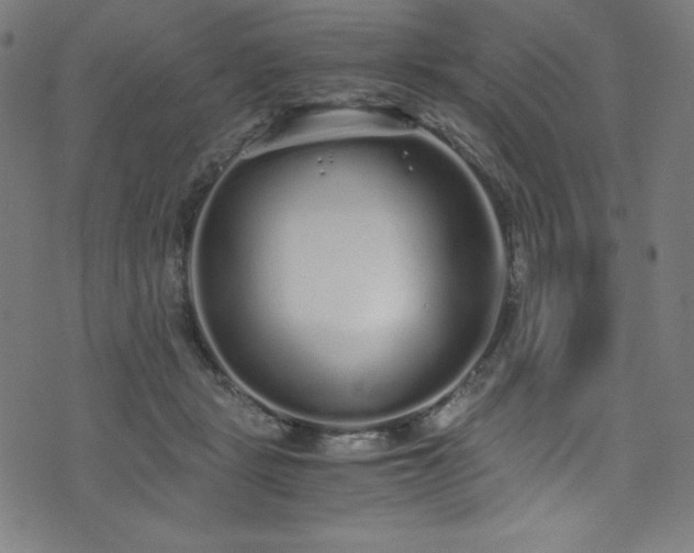 X0000076270461200610051315