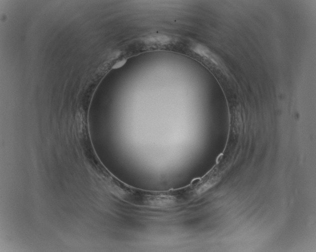 X0000076270463200610051315