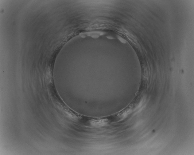 X0000076270465200610051315