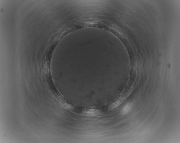 X0000076270467200610051315