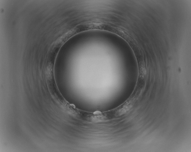 X0000076270468200610051315