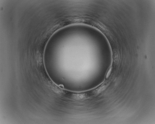 X0000076270469200610051315