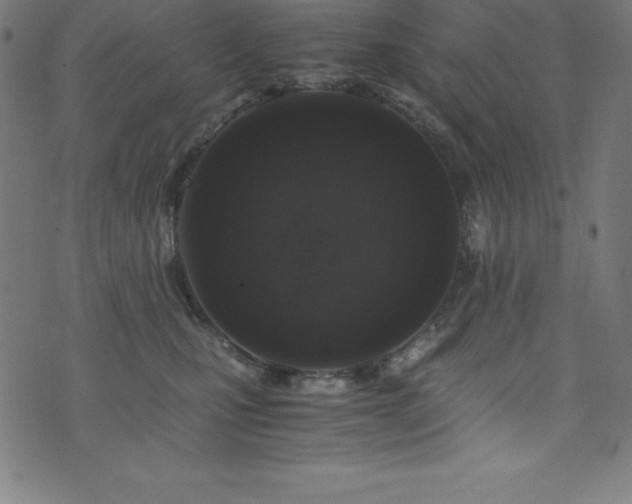 X0000076270471200610051315