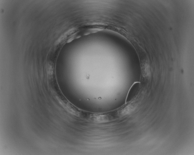 X0000076270472200610051315