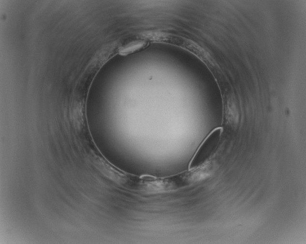 X0000076270473200610051315