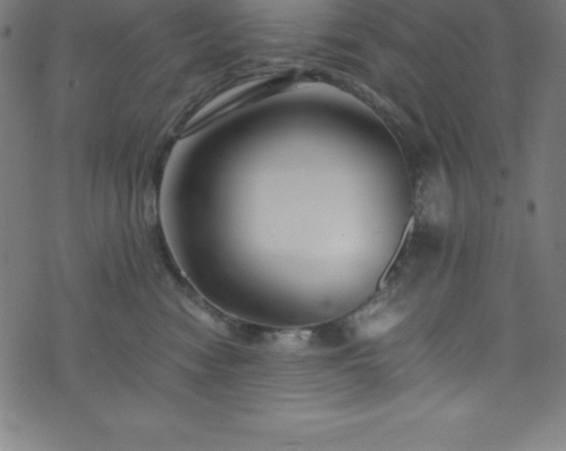 X0000076270474200610051315