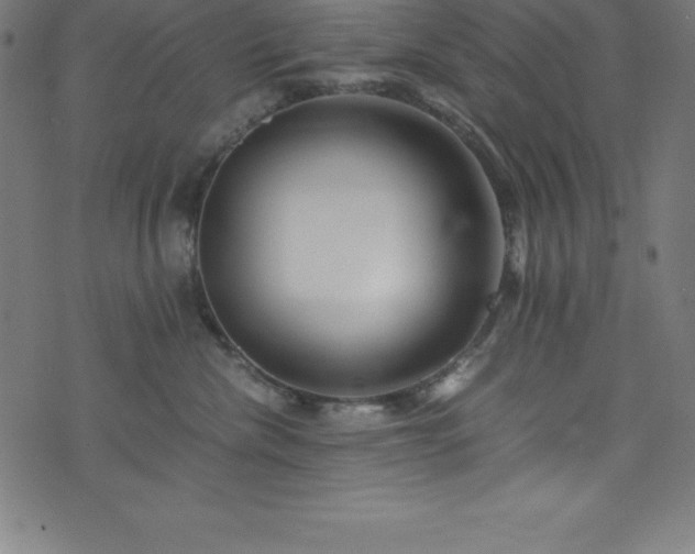 X0000076270476200610051315