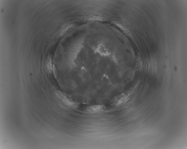 X0000076270479200610051315