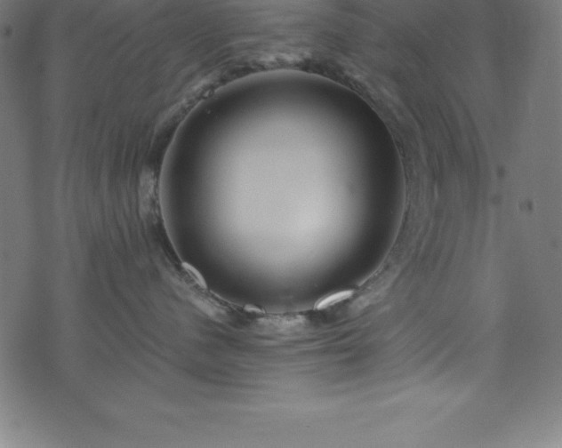 X0000076270480200610051315