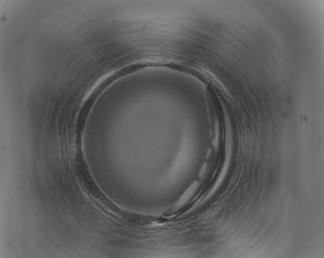 X0000076270484200610051314