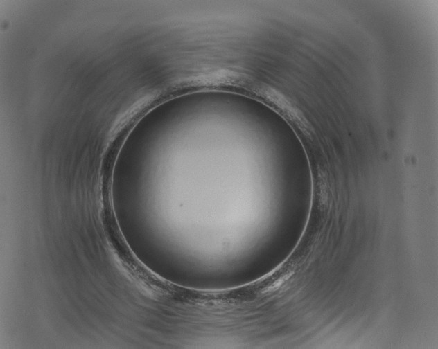 X0000076270486200610051314