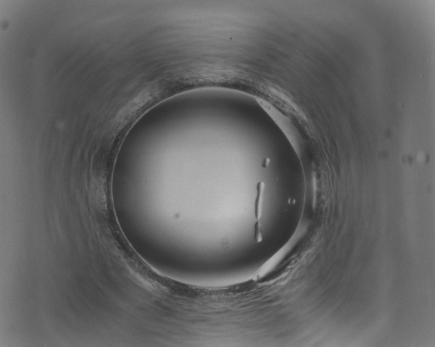 X0000076270489200610051314