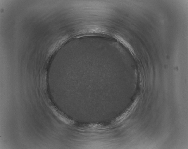 X0000076270493200610051314