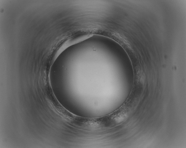 X0000076270498200610051314