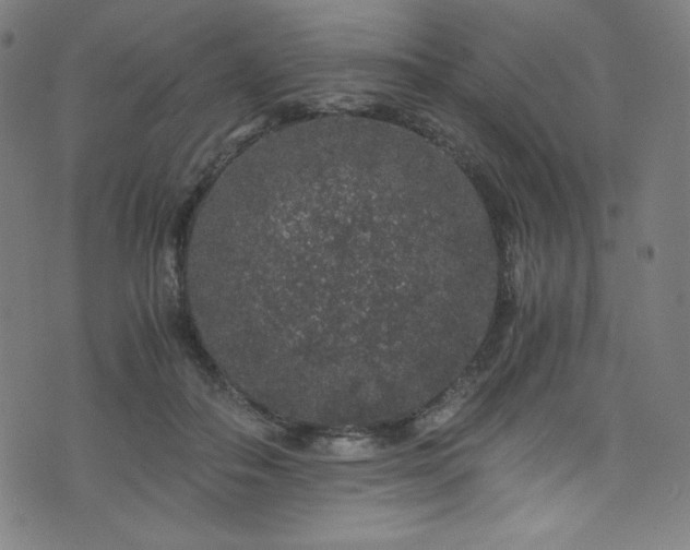 X0000076270506200610051314