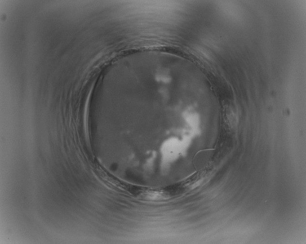 X0000076270507200610051314