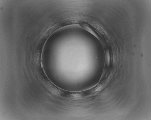 X0000076270509200610051314