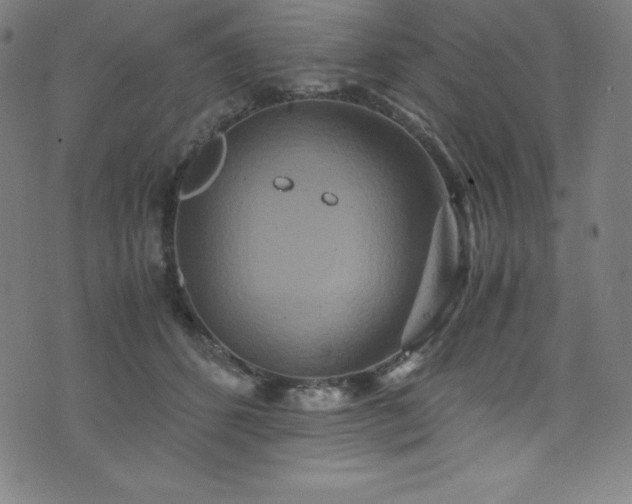 X0000076270512200610051314