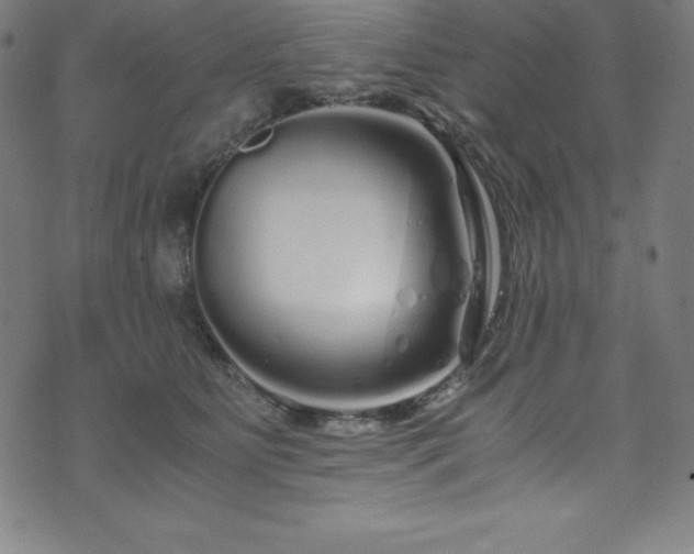 X0000076270515200610051314