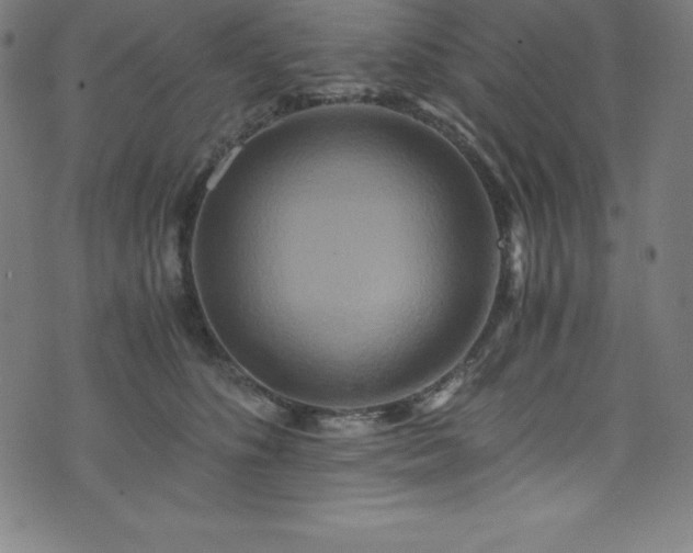 X0000076270516200610051314