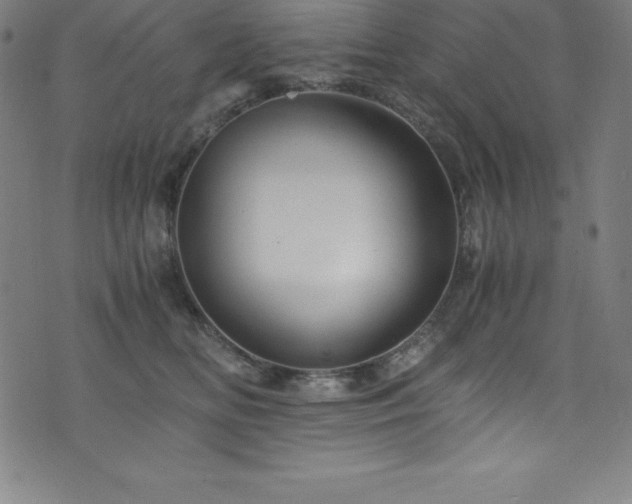 X0000076270518200610051314