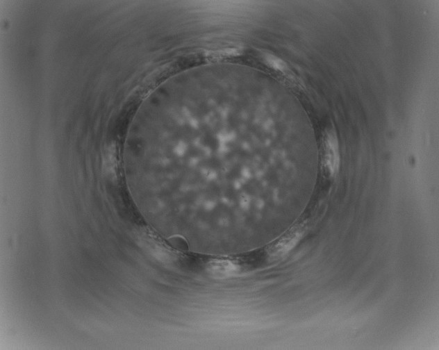 X0000076270519200610051314