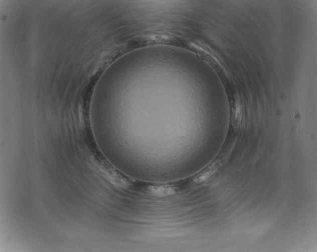 X0000076270520200610051314