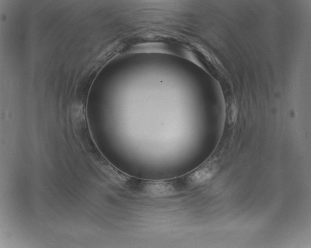 X0000076270521200610051314