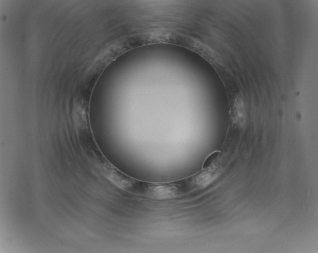 X0000076270522200610051314