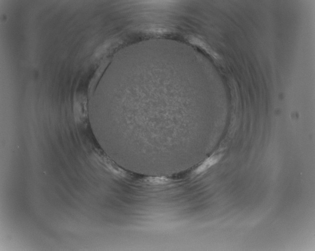 X0000076270528200610051314