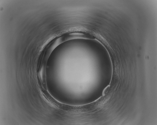 X0000076270530200610051313