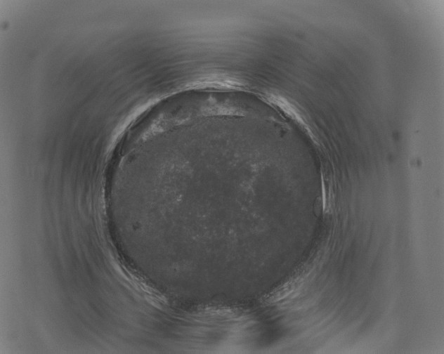 X0000076270531200610051313