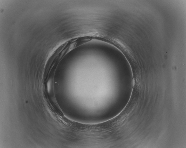 X0000076270532200610051313