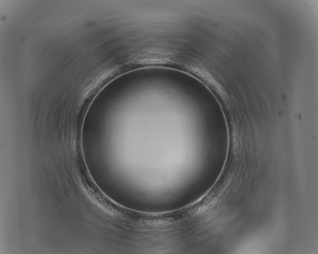 X0000076270533200610051313