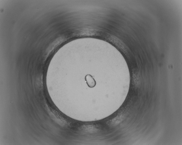 X0000076270534200610051313