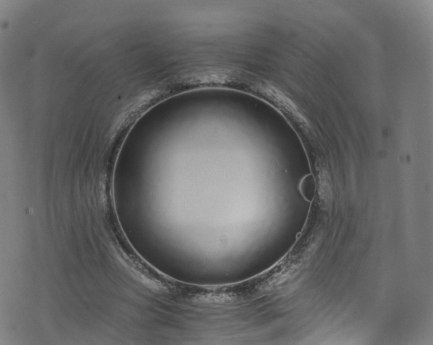 X0000076270537200610051313