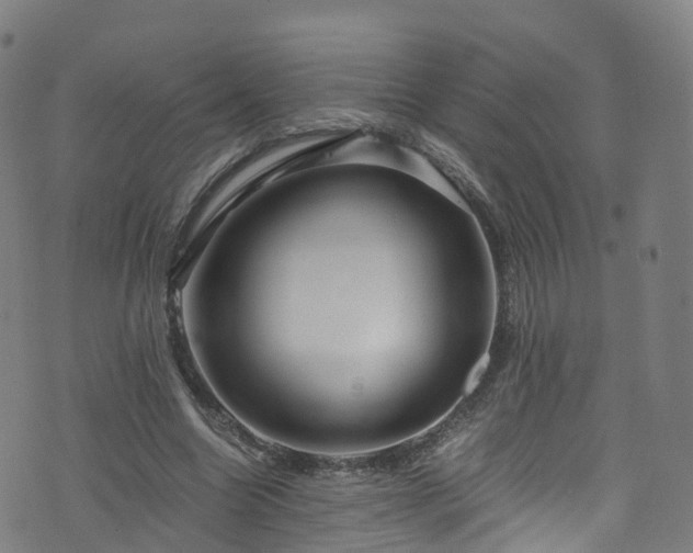 X0000076270538200610051313