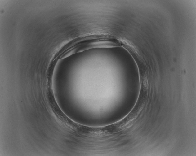 X0000076270540200610051313