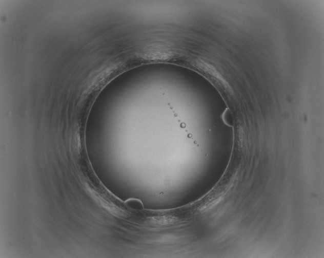 X0000076270541200610051313