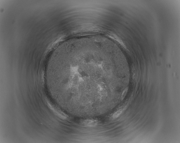 X0000076270542200610051313