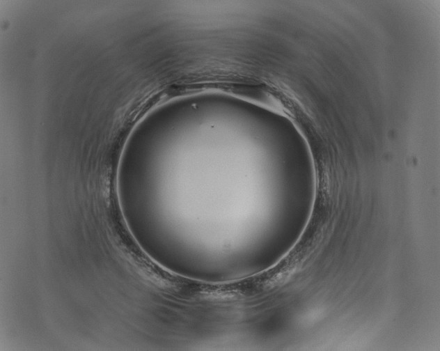 X0000076270545200610051313