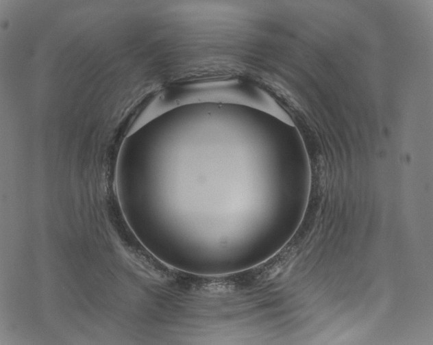 X0000076270546200610051313