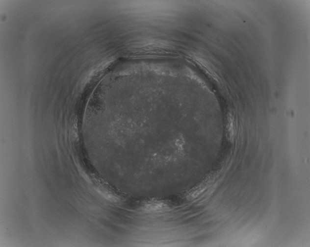 X0000076270547200610051313