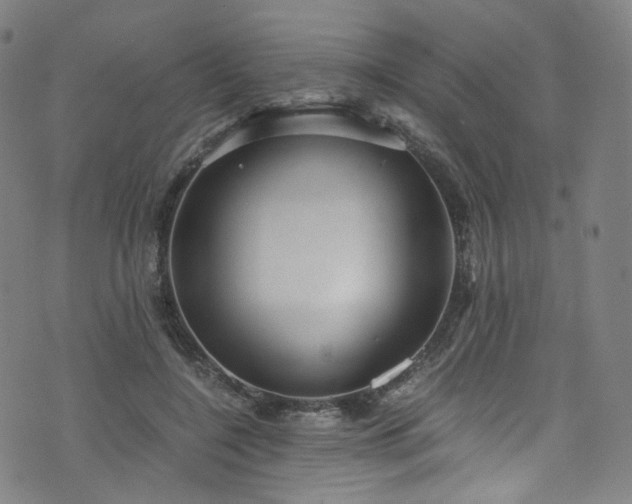 X0000076270548200610051313