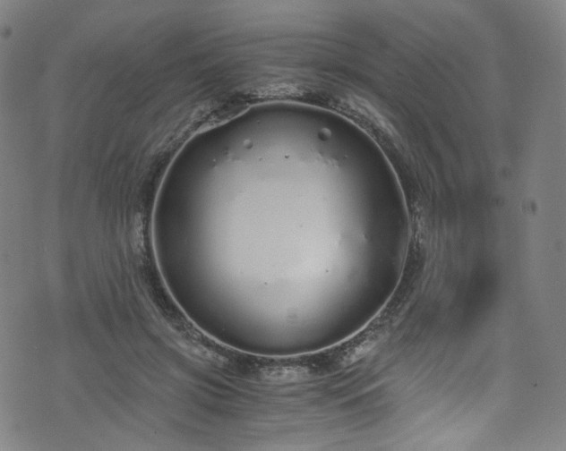 X0000076270549200610051313