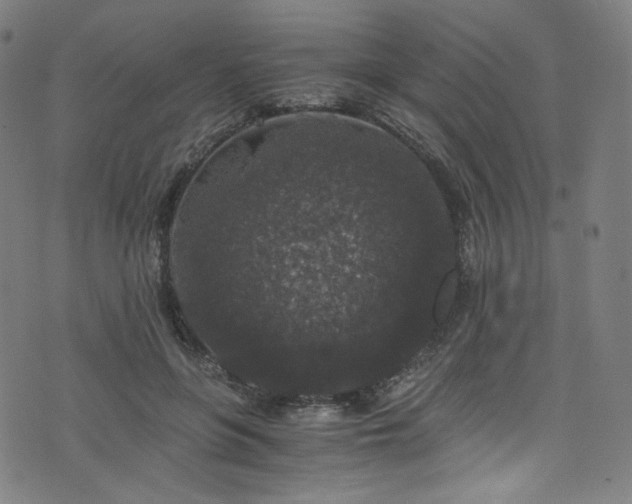 X0000076270551200610051313