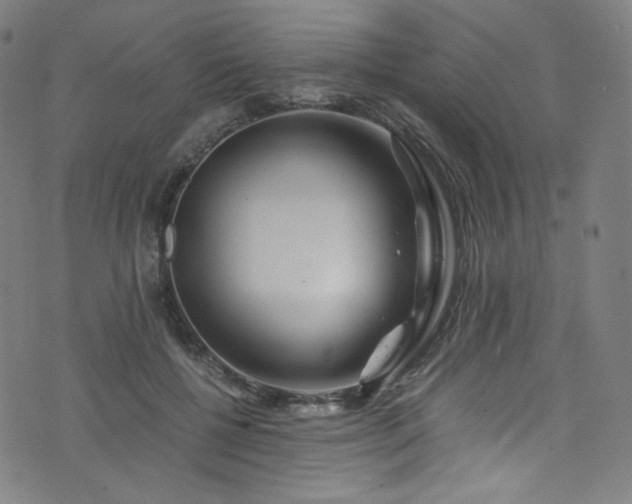 X0000076270552200610051313