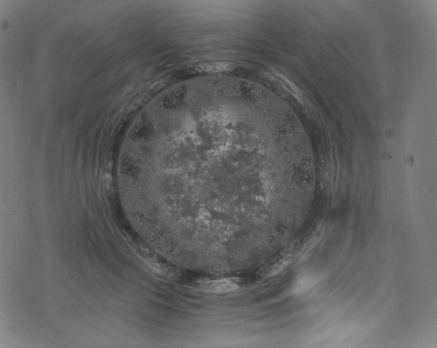 X0000076270553200610051313